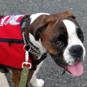 Meet your Posher, Annette